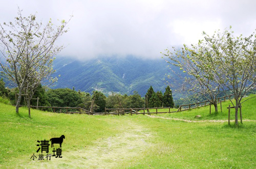 清境小旅行:: 觀山牧場之另一片青青草地