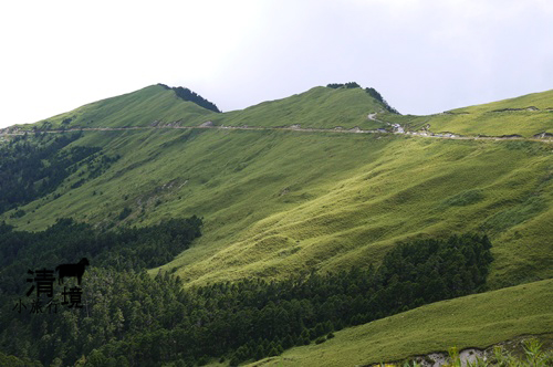 清境小旅行:: 來去台灣公路最高點武嶺