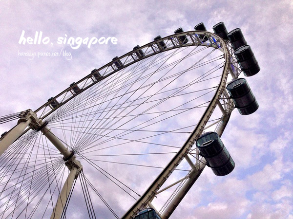 新加坡│新加坡摩天觀景輪 Singapore Flyer::&nbsp;至高的視野，新加坡美景一覽無遺