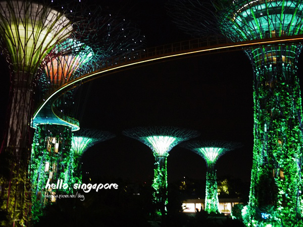 新加坡│濱海灣花園 Gardens by the Bay::&nbsp;歡迎走入魔幻世界