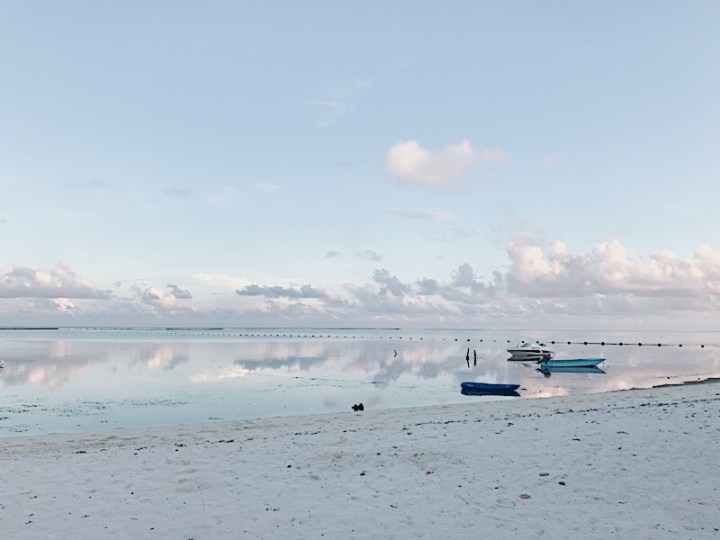 馬爾地夫｜自助旅行好選擇 Maafushi居民島 以及一些需注意事項