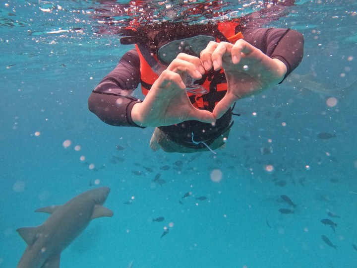 馬爾地夫｜Maafushi居民島出海行程分享 夜釣、Real Break還有SPA